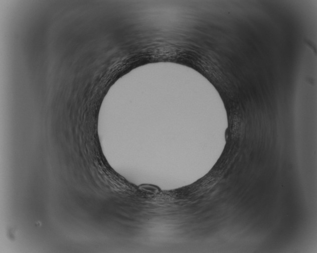 X0000100851153200807181050