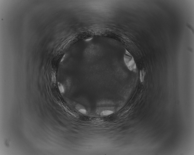 X0000100851155200807181050