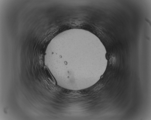 X0000100851156200807181050
