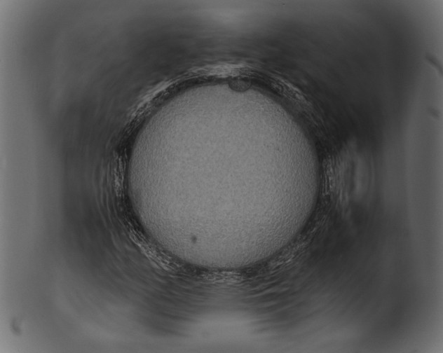 X0000100851158200807181050