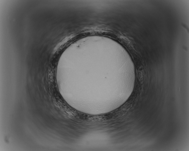 X0000100851159200807181050
