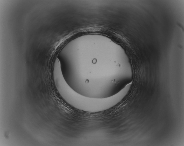 X0000100851160200807181050