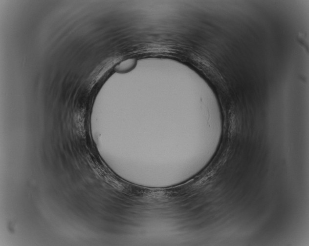 X0000100851162200807181050