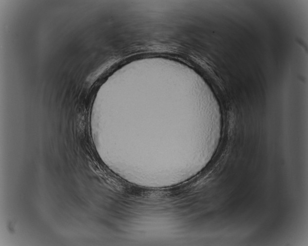 X0000100851163200807181050