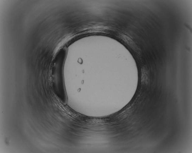 X0000100851164200807181050