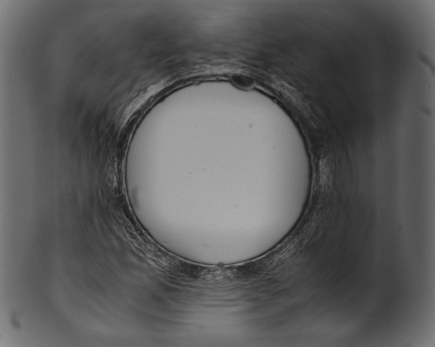 X0000100851165200807181050