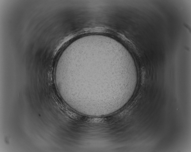 X0000100851166200807181050