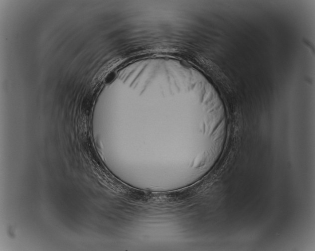 X0000100851169200807181050
