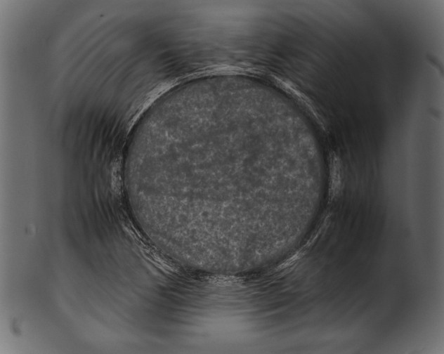 X0000100851170200807181050