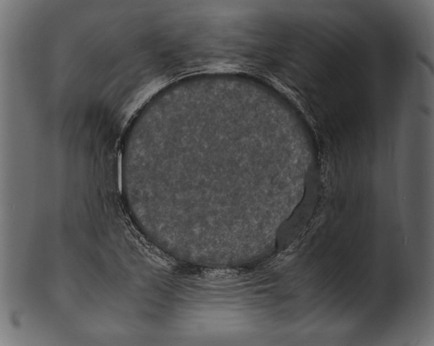 X0000100851171200807181049