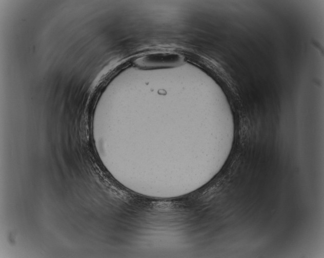 X0000100851172200807181049