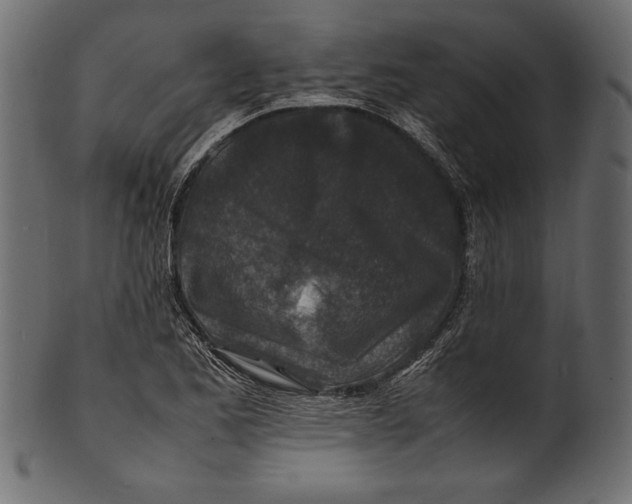 X0000100851173200807181049