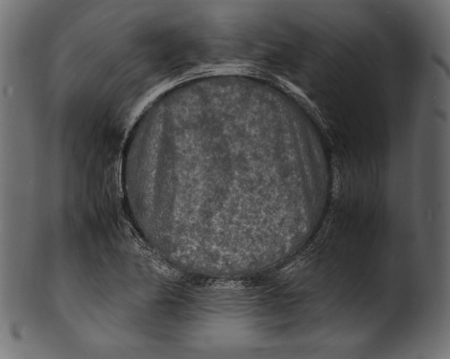 X0000100851174200807181049