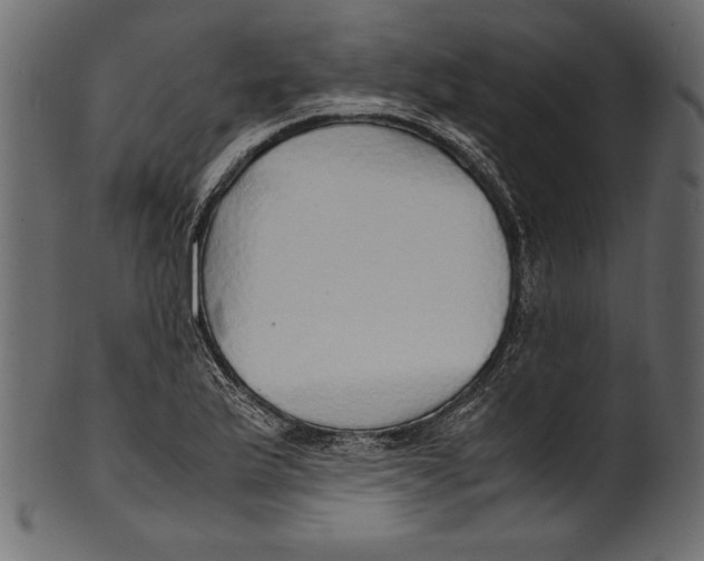 X0000100851175200807181049