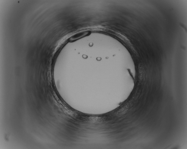 X0000100851176200807181049