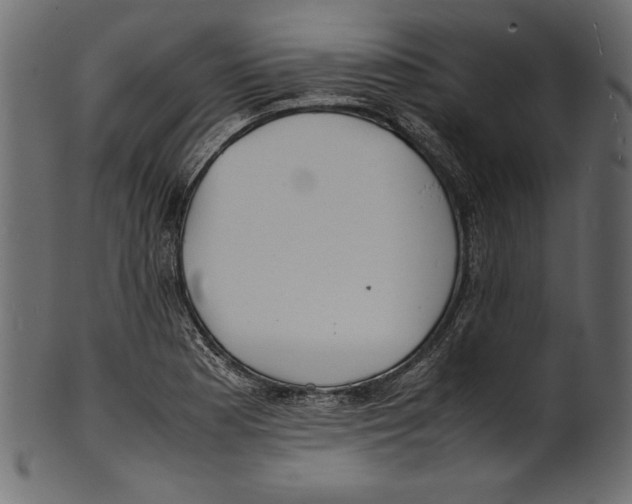 X0000100851177200807181049