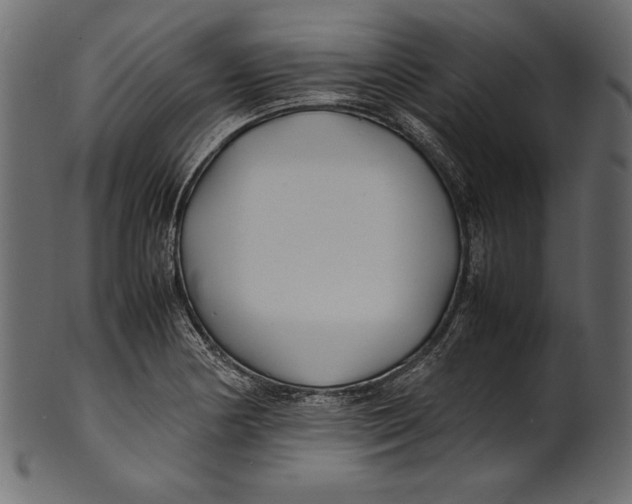 X0000100851178200807181049
