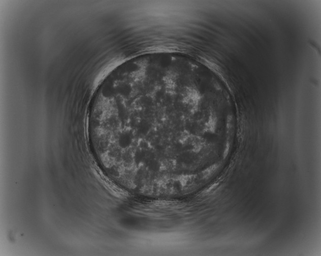 X0000100851179200807181049