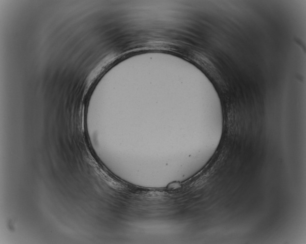 X0000100851180200807181049