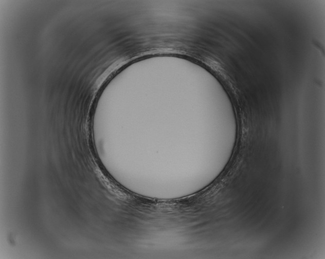 X0000100851181200807181049