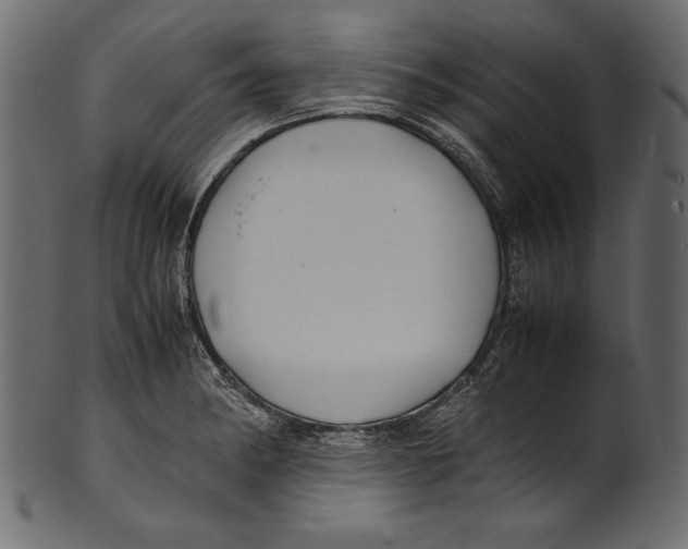 X0000100851182200807181049