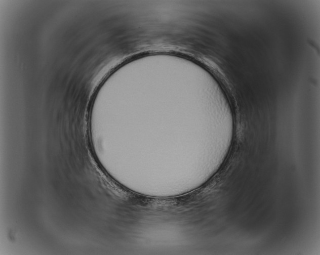 X0000100851183200807181049