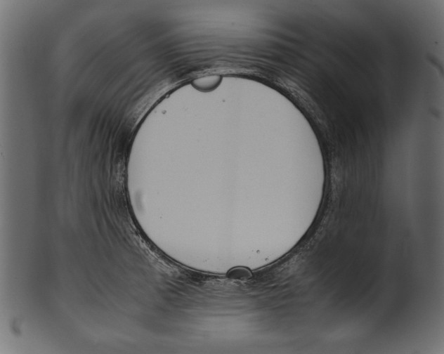X0000100851185200807181049