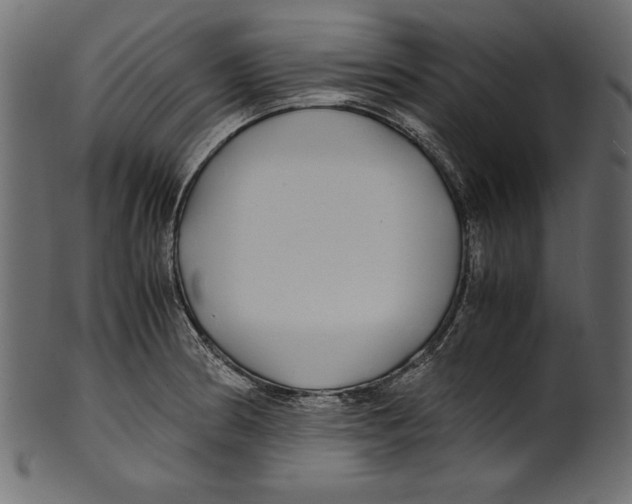 X0000100851186200807181049