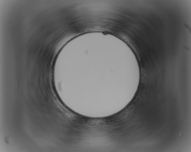 X0000100851187200807181049