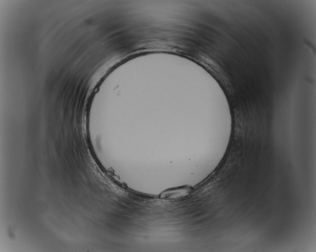 X0000100851188200807181049