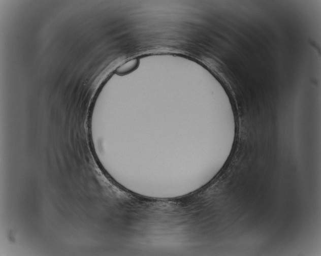 X0000100851189200807181049