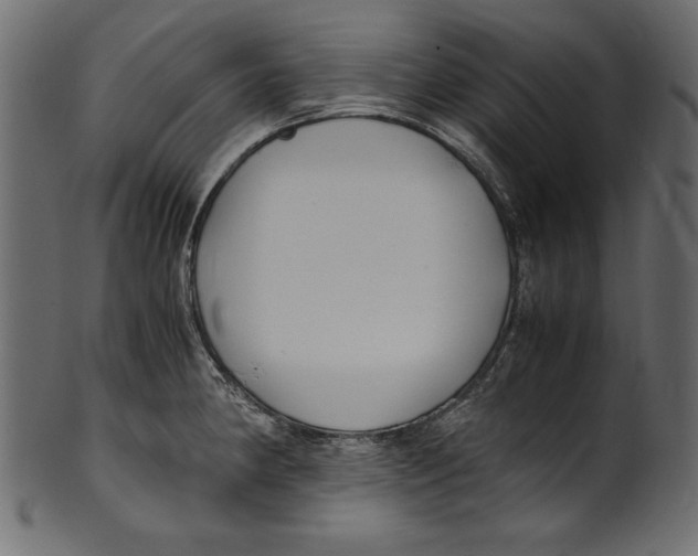 X0000100851190200807181049