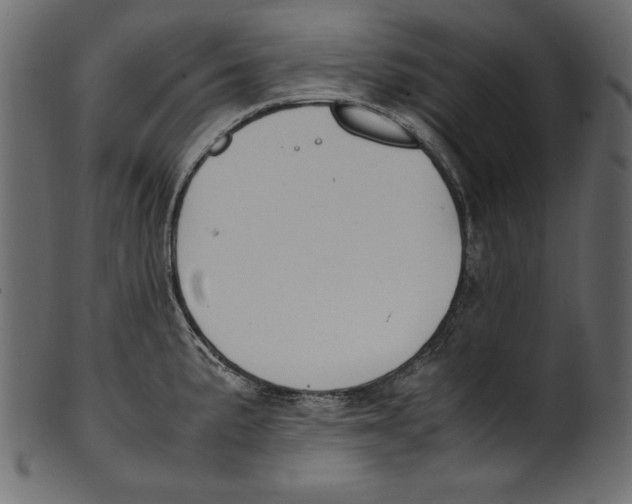 X0000100851191200807181049