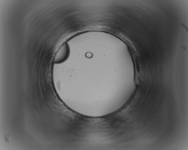 X0000100851192200807181049