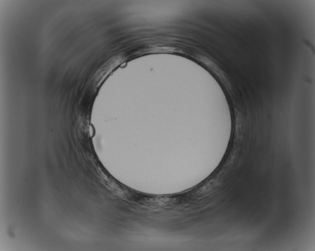 X0000100851193200807181049