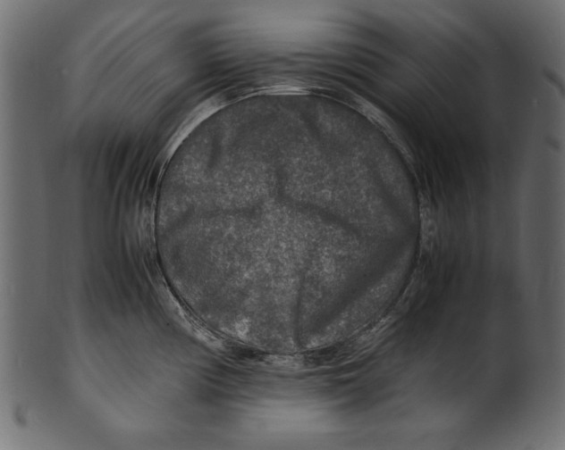 X0000100851194200807181049