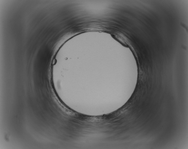 X0000100851195200807181049