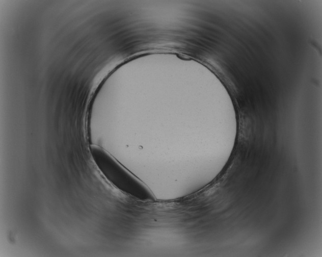 X0000100851196200807181049
