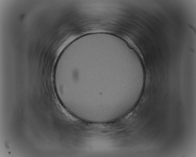 X0000100851197200807181049
