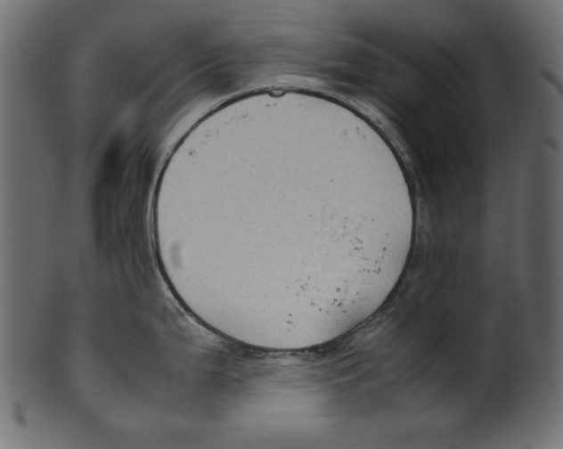 X0000100851199200807181049