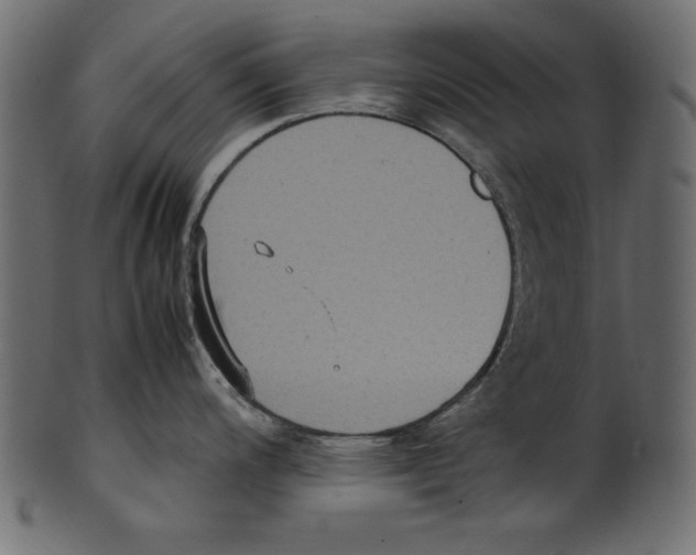 X0000100851200200807181049