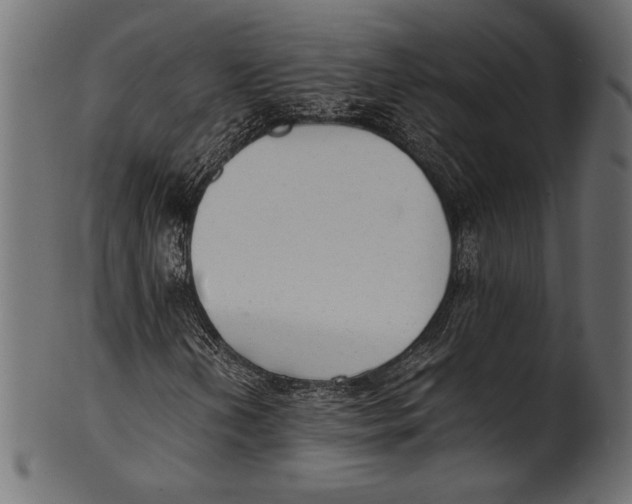 X0000100851202200807181048