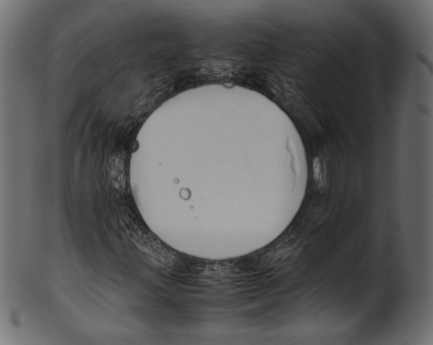 X0000100851203200807181048