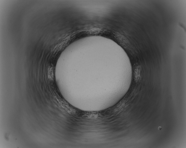 X0000100851204200807181048