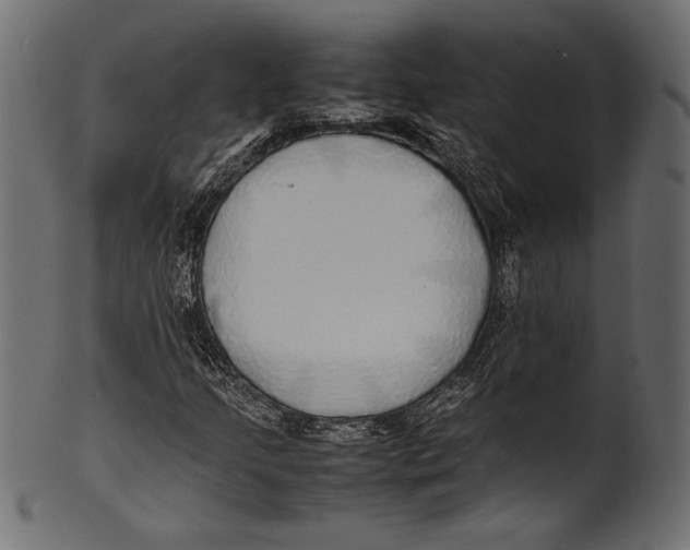 X0000100851205200807181048