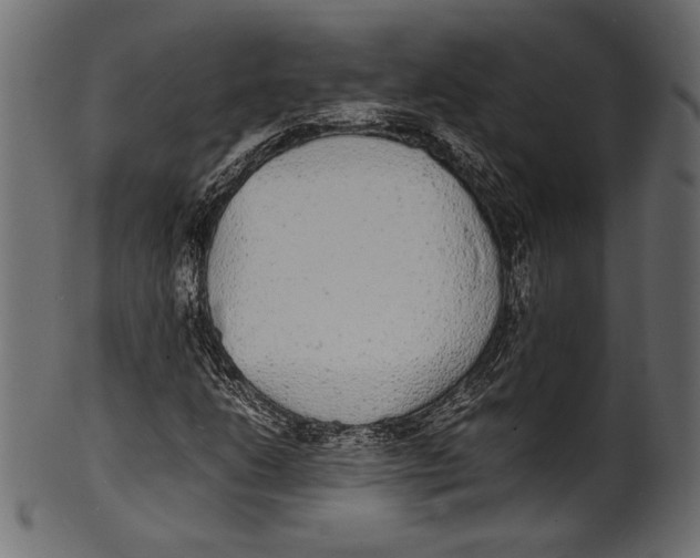 X0000100851206200807181048