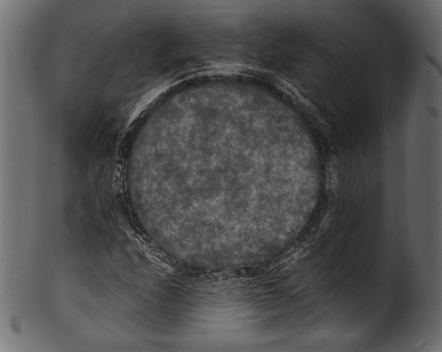 X0000100851208200807181048