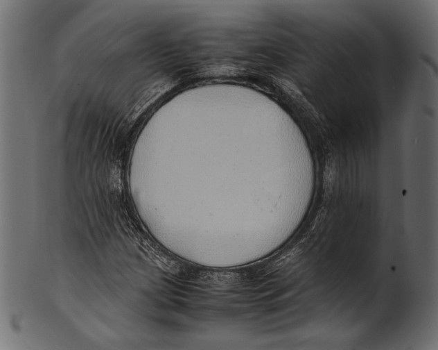 X0000100851209200807181049