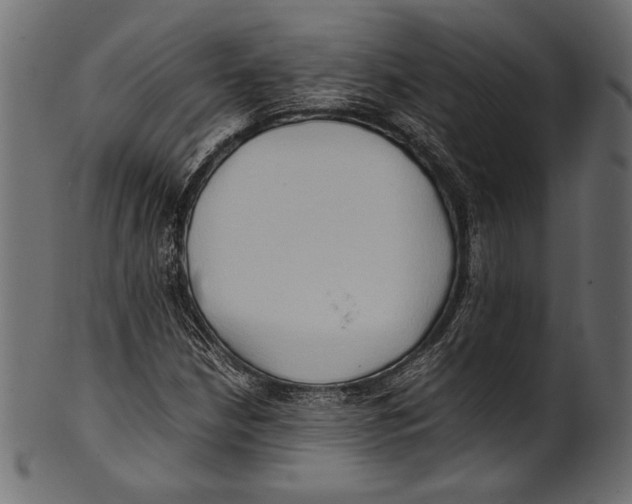 X0000100851210200807181049