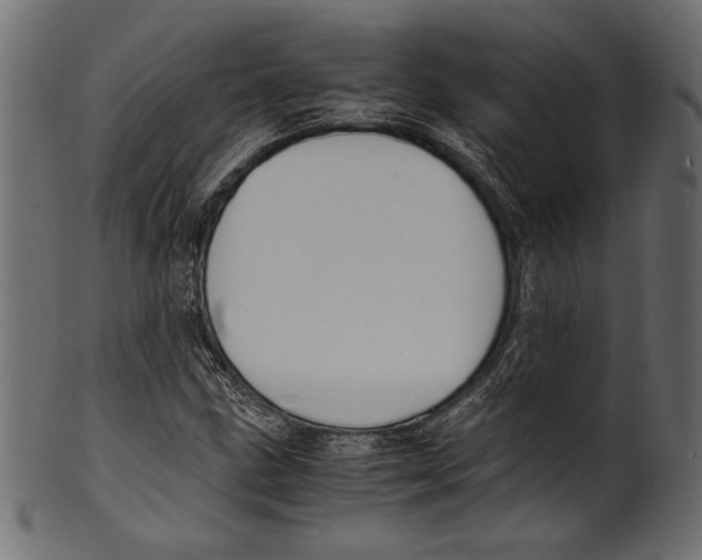 X0000100851211200807181049